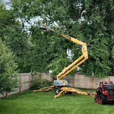 Enon, OH Tree Removal and Landscaping Services Company